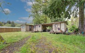 Cougars Cute Crooked Cabin
